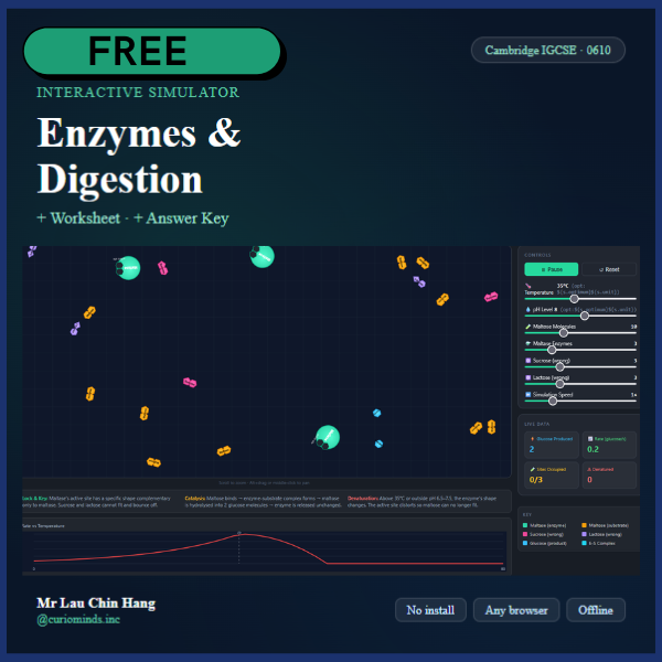 Enzyme Simulation thumbnail